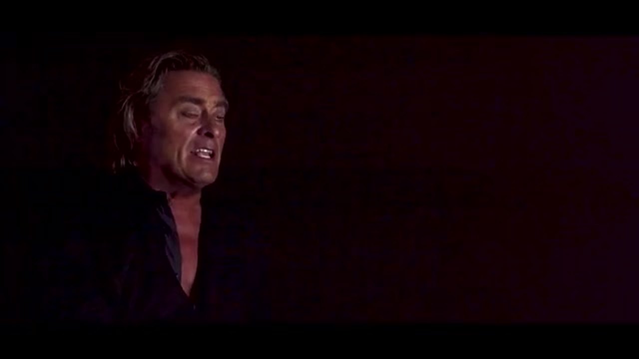 Rob van Daal - Jij bent niet alleen (officiële videoclip) - medium