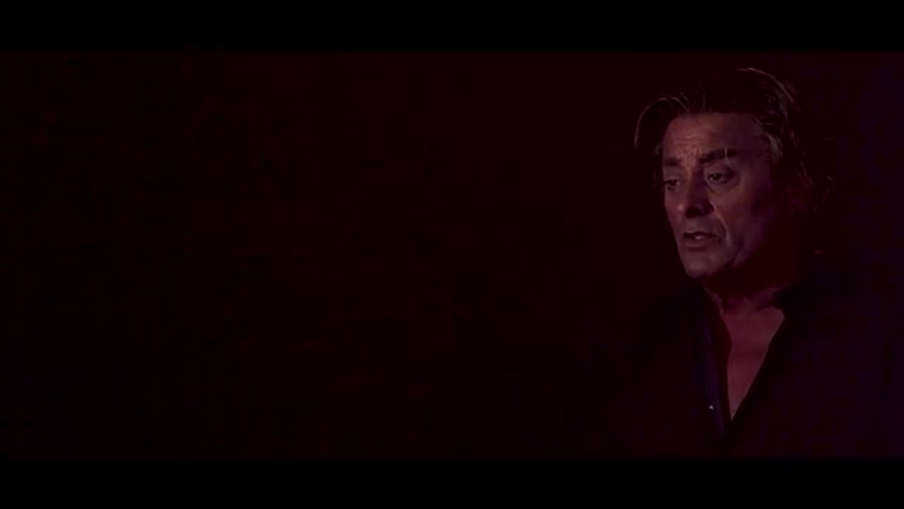 Rob van Daal - Jij bent niet alleen (officiële videoclip) - wide