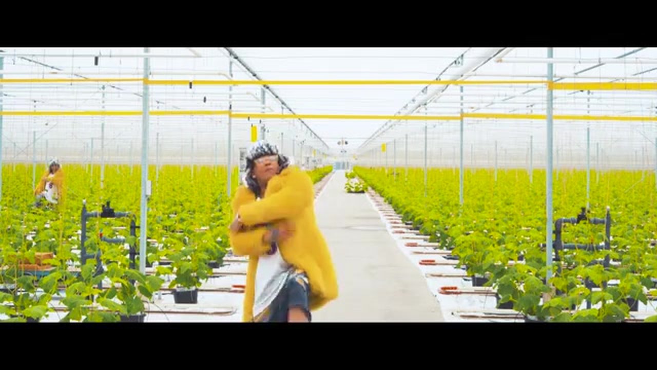 Greg-A-Man - Komkommer - medium